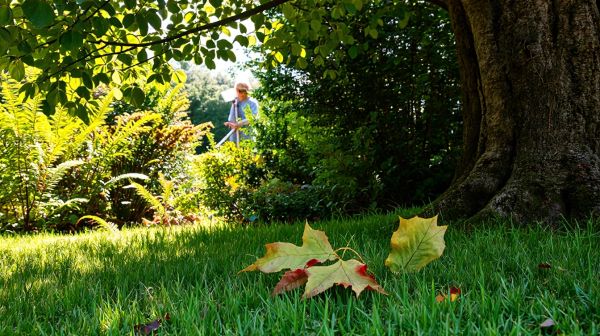 Top 5 raisons d'utiliser une débroussailleuse dans votre jardin