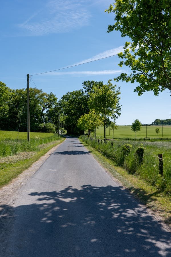 Sol stabilisé : Guide pratique pour une accessibilité PMR sûre